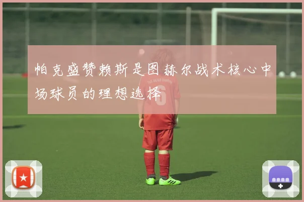 帕克盛赞赖斯是图赫尔战术核心中场球员的理想选择