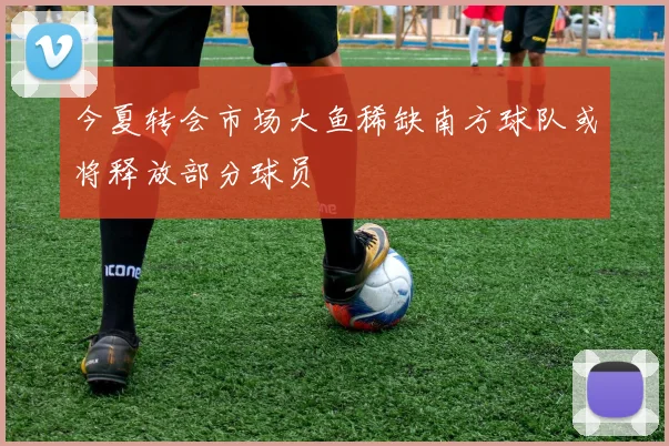 今夏转会市场大鱼稀缺南方球队或将释放部分球员